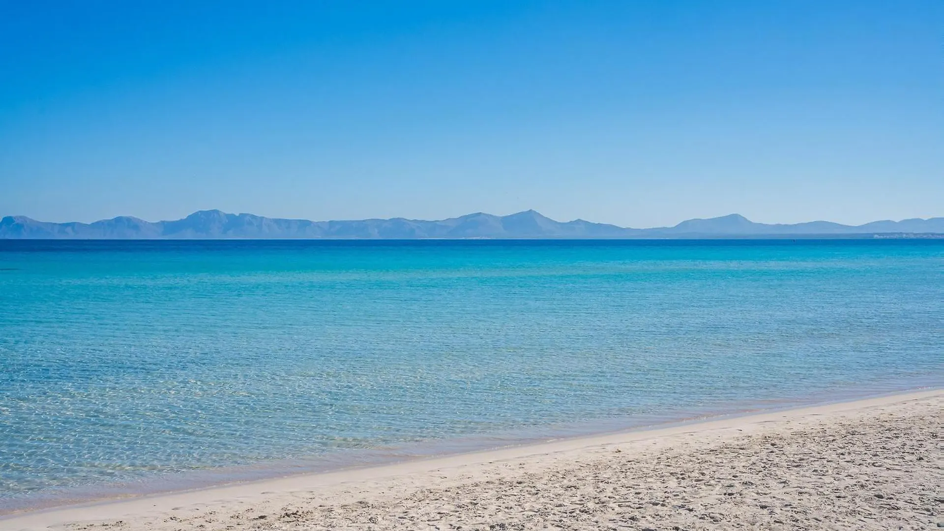 Ideal Property Mallorca - Villa Alcanada 1